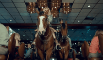 Ellie Goulding Casino