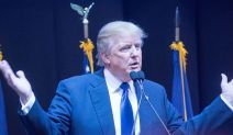 Donald Trump Mob
