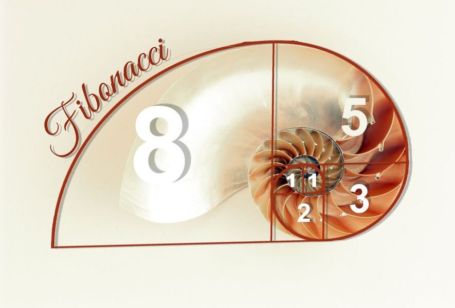 Die Fibonacci Roulette Strategie basiert in der Grundstruktur auf einer mathematischen Zahlenreihe