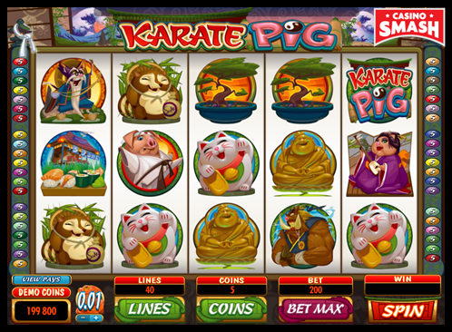 Karate Pig
