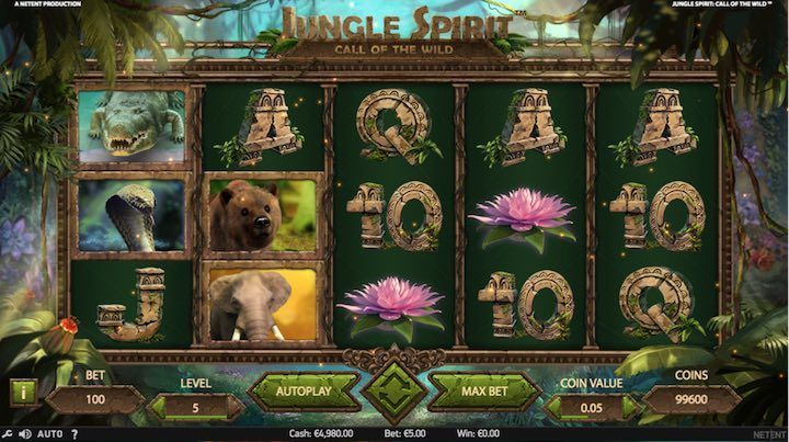 Netent Video Slot
