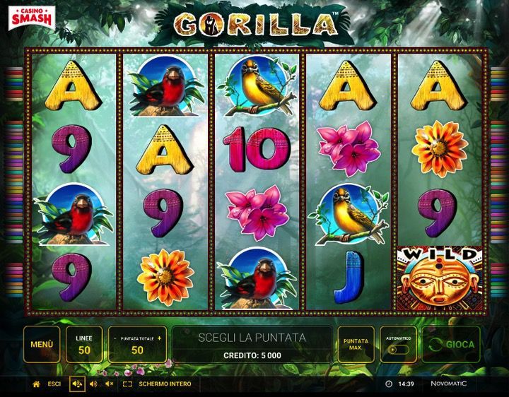 Gorilla Slot Novomatic