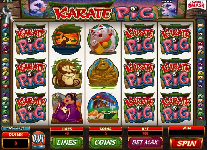 Karate Pig