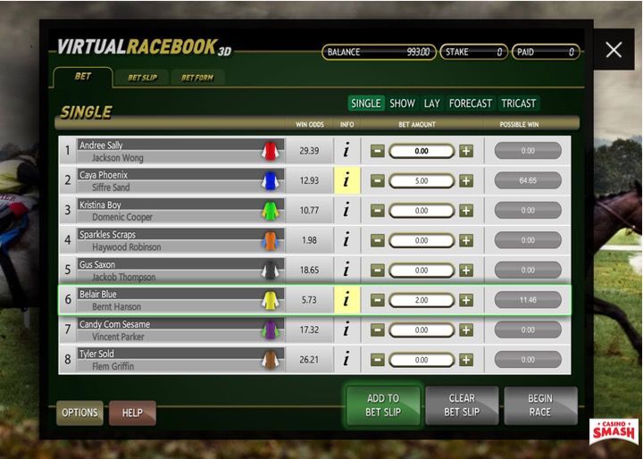 how to bet on virtual racebook 3D