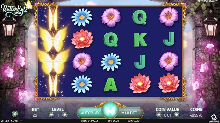 Butterfly Staxx 2