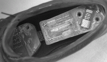 Norman Packard's computer