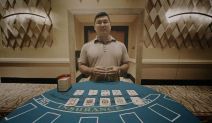 Card Counting Guide Mark Aponte