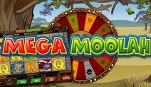 Mega Moolah Mega Jackpot