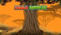 Mega Moolah Win