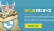 Thrills Casino Free Spin Bonus