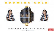 Booming Gold Slots Game