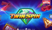 Twin Spin Slot