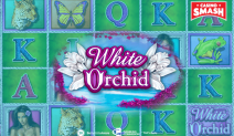 White Orchid Slot Machine Online