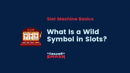 What is a wild symbol in slots?