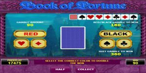 Book of Fortune Slot