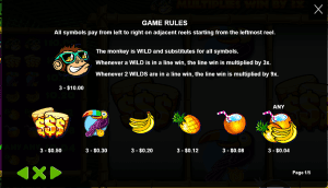 Monkey Madness Slot